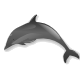 Delfín de El Tinglado