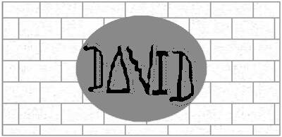 DAVID