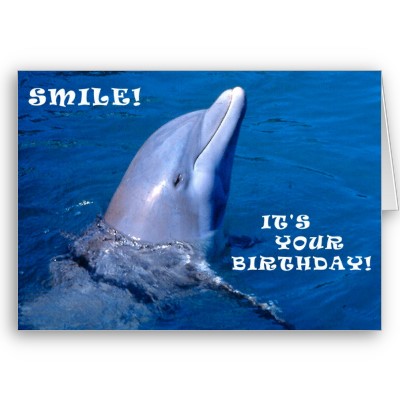 files//almarzarey/dolphin_birthday_smile_card-p137538072288732433q6k5_400.jpg - 33788 b