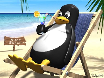 files//avalero/tux_nude_beach.jpg - 31062 b