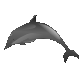 files//delfin2.gif - 1630 b