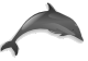 El delfín de El tinglado