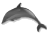 files//dolphin_home.png - 2015 b