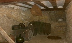 Bodega250x150.jpg