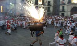 toro_de_fuego250x150.jpg