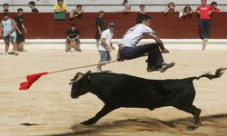 vaquillas250x150.jpg
