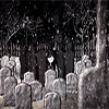 La máscara de la muerte roja. Duración: 12:15 minutos<br/>Jamás una peste había sido tan fatal y tan espantosa. Animación en torno a la obra de Edgar Allan Poe. Fuente: YouTube - Jay Marks.