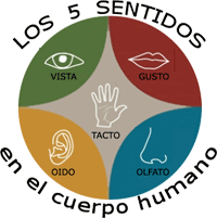 5sentidos